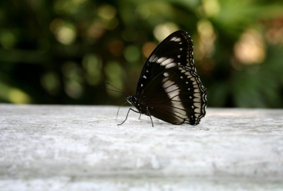 Things to do in Kuala Lumpur