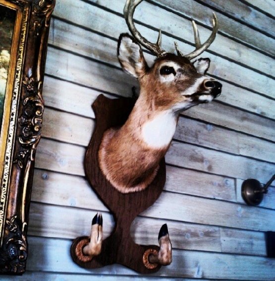 MightyTravels 2016-01-04 at 4.47.17 PM