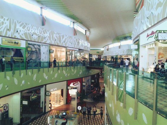 things to do in Manaus