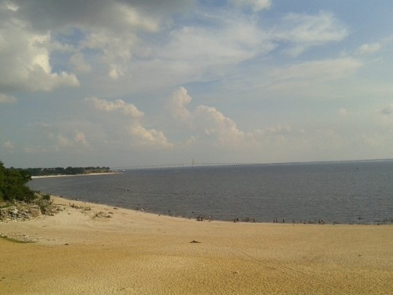 things to do in Manaus