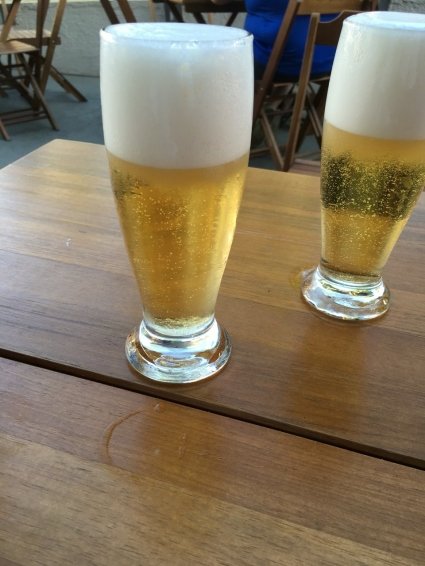 things to do in Manaus