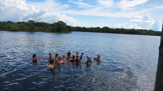 things to do in Manaus