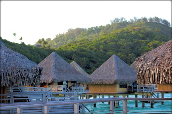 InterContinental Le Moana Bora Bora Review