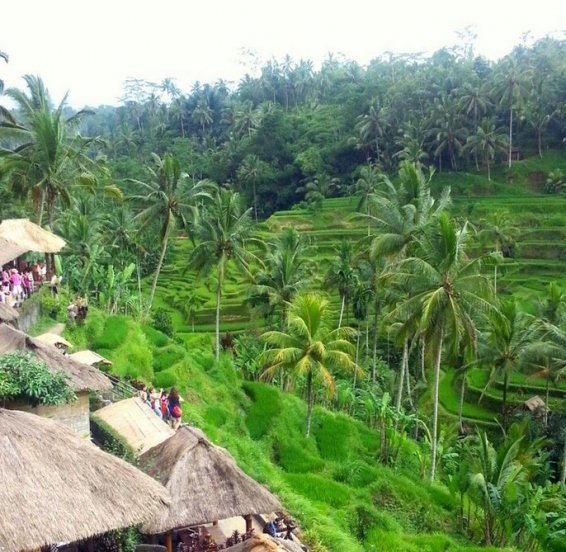 MightyTravels 2016-04-14 at 3.09.50 PM