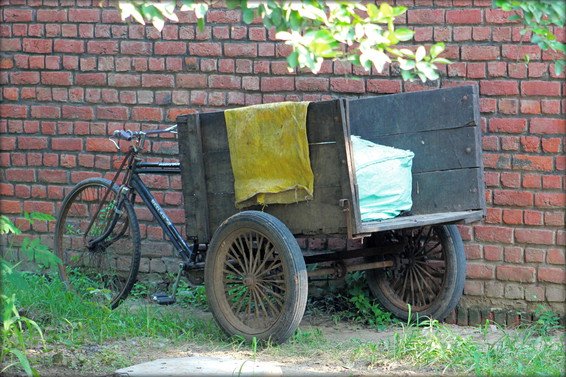 Things To Do New Delhi, India