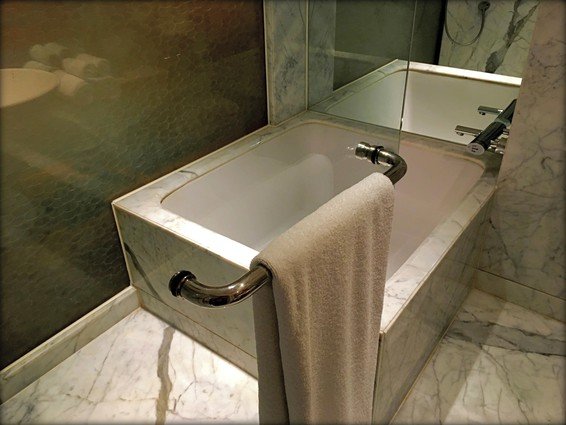 Hyatt Regency New Delhi Review