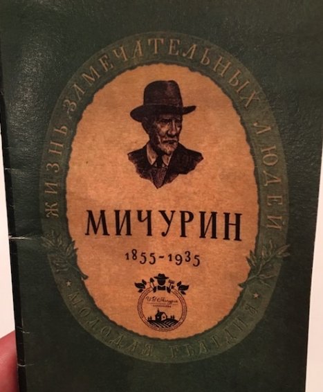 MightyTravels 2016-09-25 at 11.36.38 PM