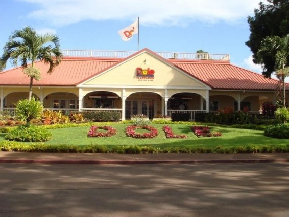 Things to do Honolulu