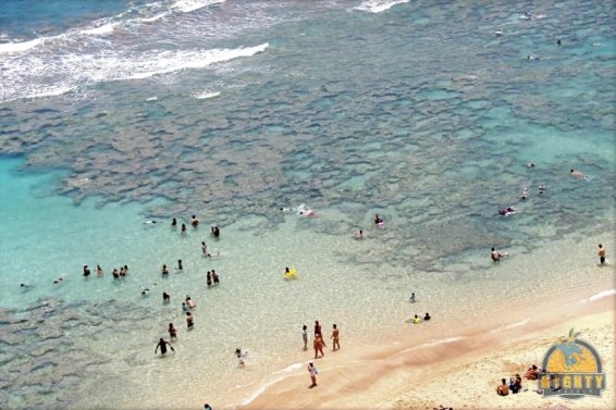 Things to do Honolulu