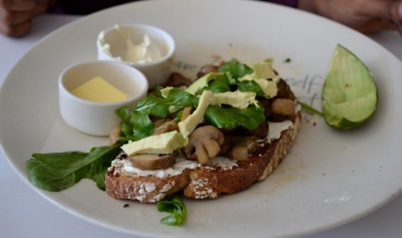 Things to do Cape Town