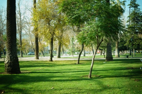 things to do Santiago