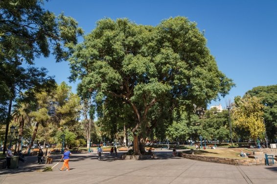 things to do Mendoza