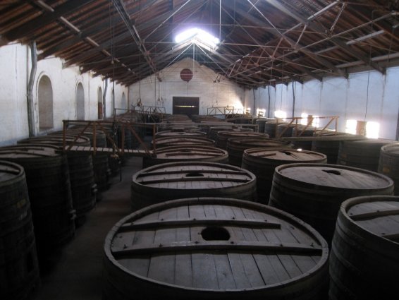 things to do Mendoza