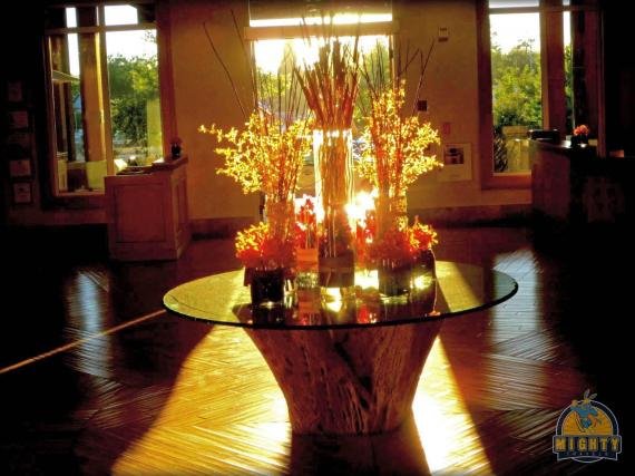 1267726 478104508954447 1742133823 o