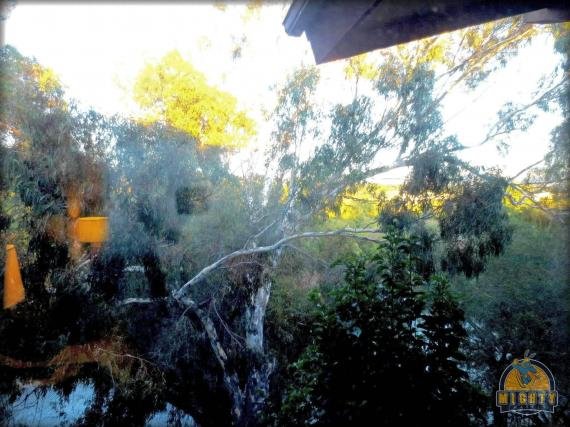 1276536 478104568954441 849637317 o