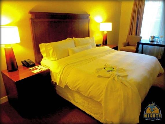 1239245 478104498954448 856395310 o