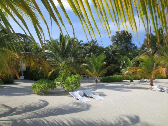 maldives7.jpg