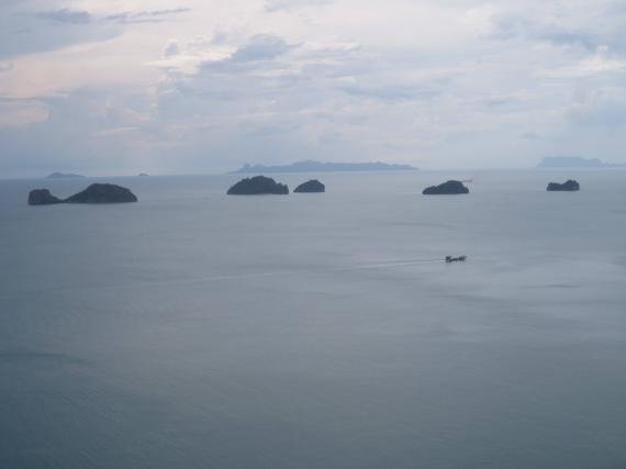 view1