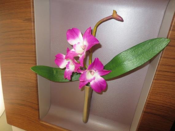 thai4