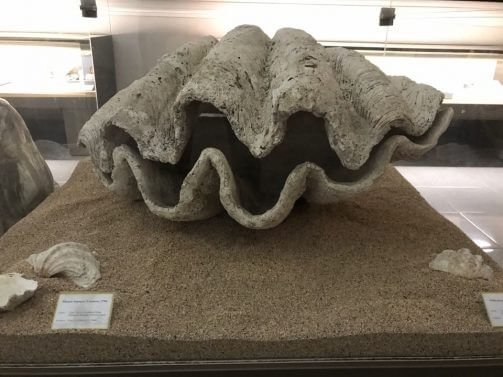 Things to do in Bandung