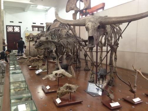 Things to do in Bandung