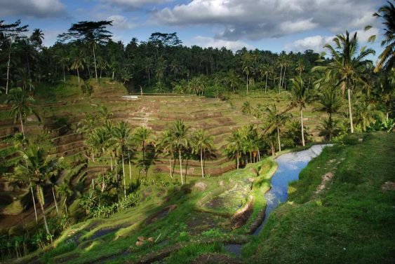 Things to do in Bali