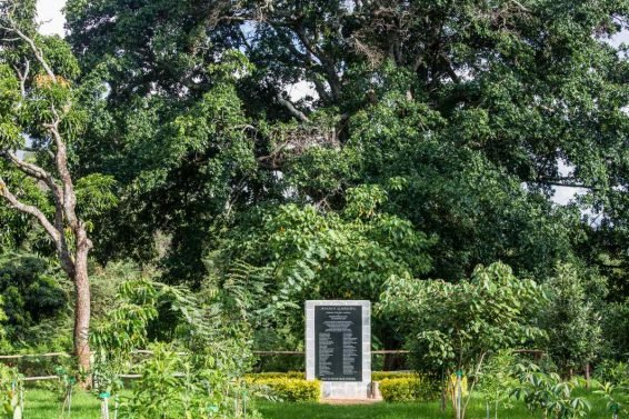 Things to do Nairobi