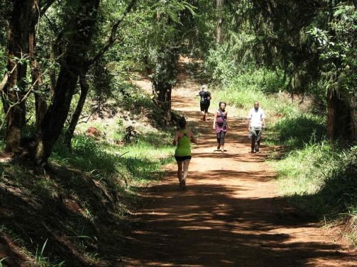 Things to do Nairobi