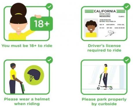 Bird Scooter Review
