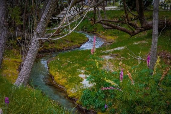 Things to do Queenstown