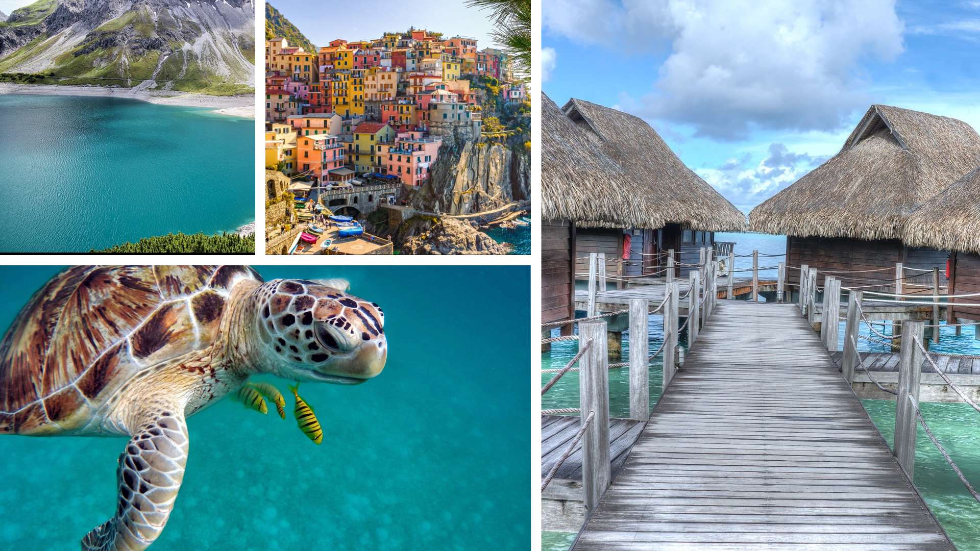 TSA's Hidden Rules What You Need to Know About Flying with an Expired